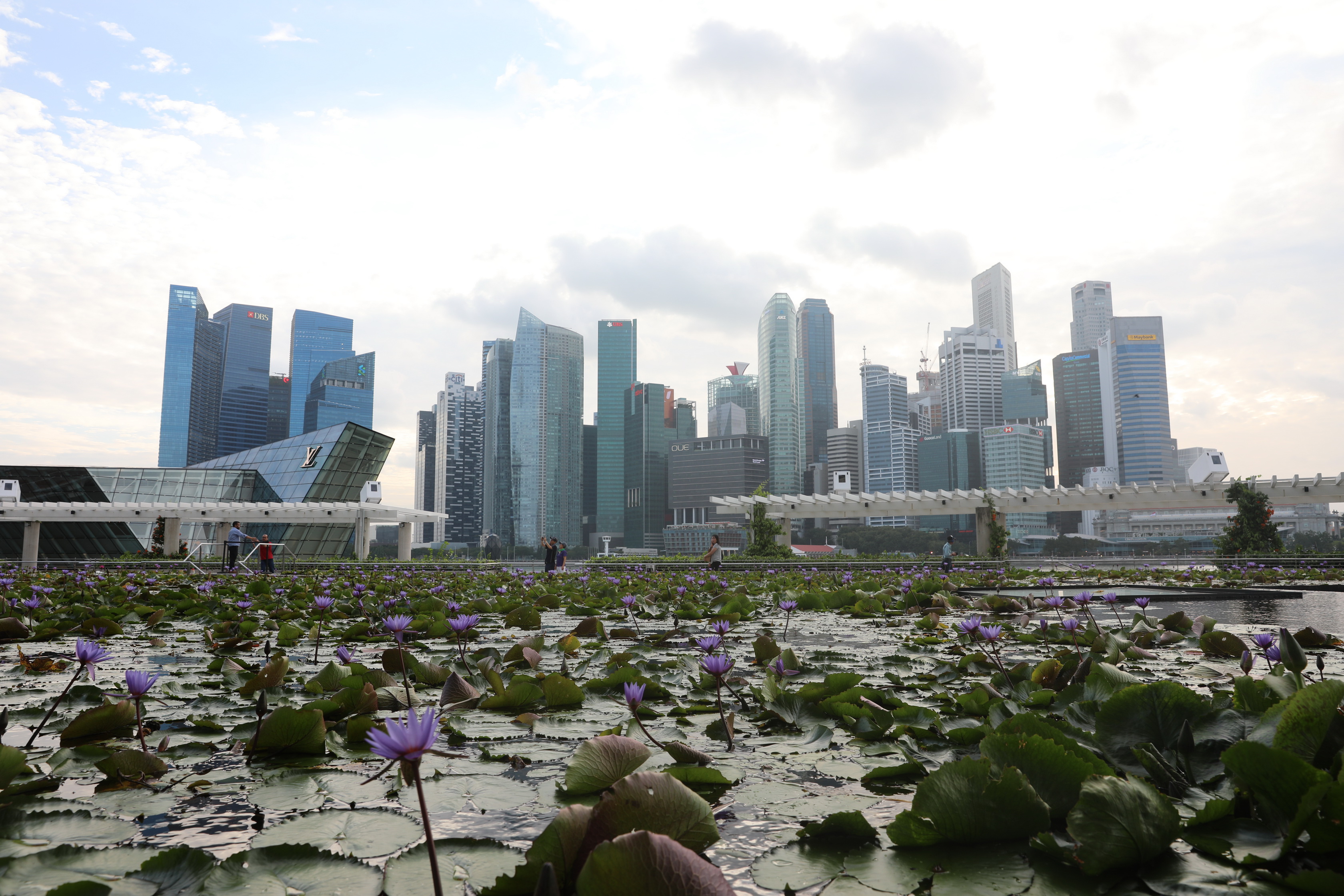 2020 02 02 18 48 12 Canon EOS 5D Mark IV 0037